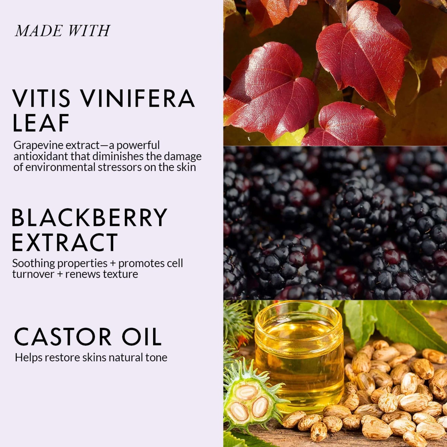 Red Wine Gel Face Mask With Paris-Based Red Wine Extracts (50 GM)