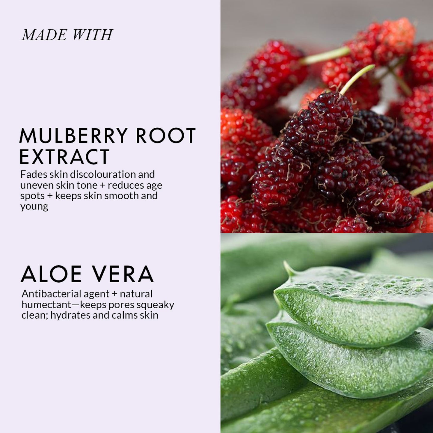 Mulberry Face Wash For Fresh & Supple Skin (100 ML)