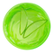 Aloe Vera :